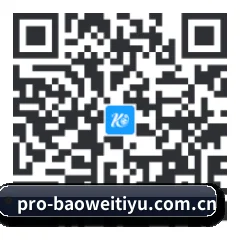 系统版 iOS 二维码